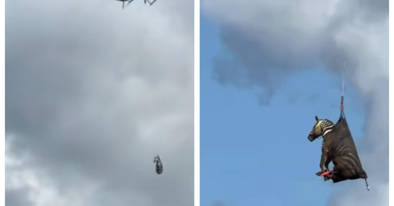 Jutarnji list - Policija uz pomoć helikoptera ulovila internetsku senzaciju: 