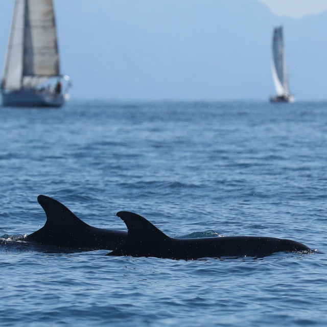 Ilustrativna fotografija