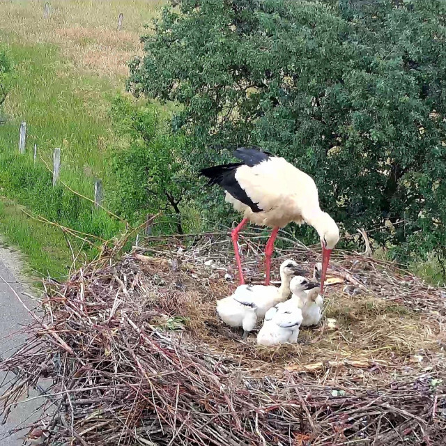 Ju Zeleni prsten Zagrebačke županije