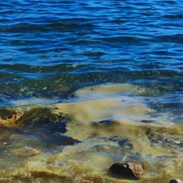 Institut Ruđer Bošković