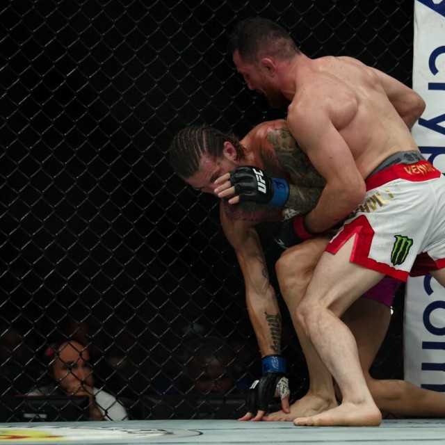 Merab Dvališvili vs. Sean O‘Malley