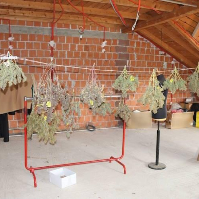 Policija je u Desincu pronašla improvizirani laboratorij za uzgoj bilja