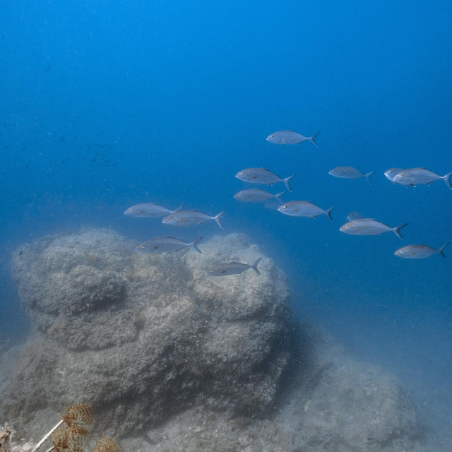 Ilustrativna fotografija


 