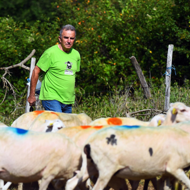 Marinko Orlić iz Drage Baščanske
 
