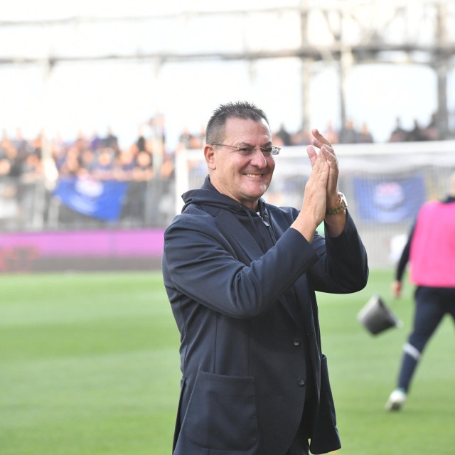 Damir Mišković