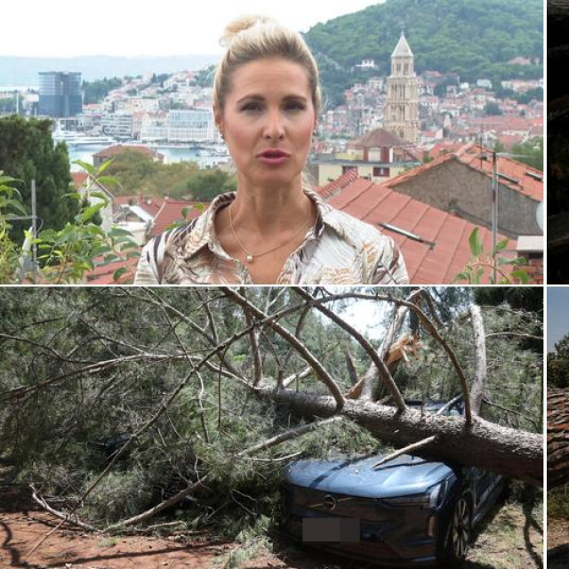 Posljedice razornog nevremena u Istri; Lidija Fuštar
