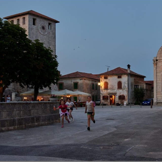 monografija ziro