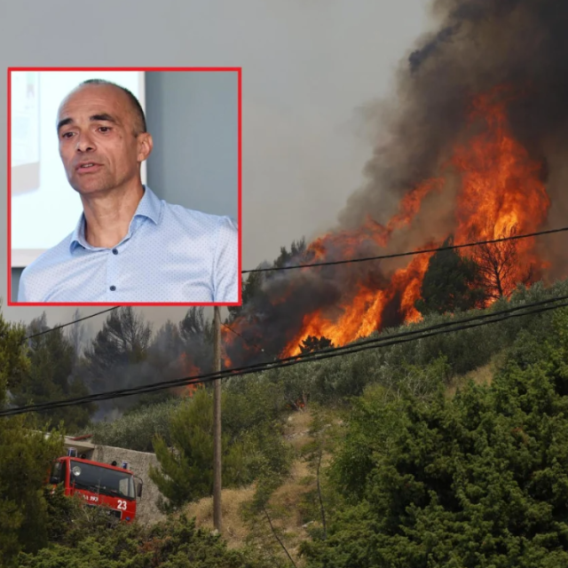 Pjero Zekan, požar
