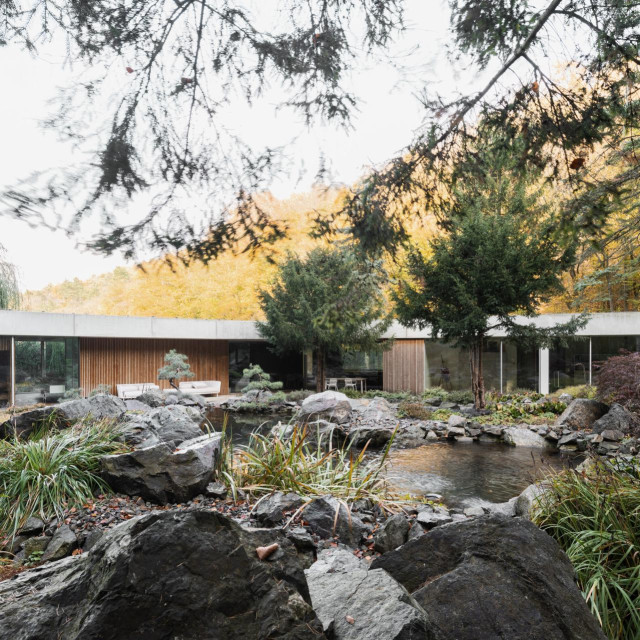 37046055