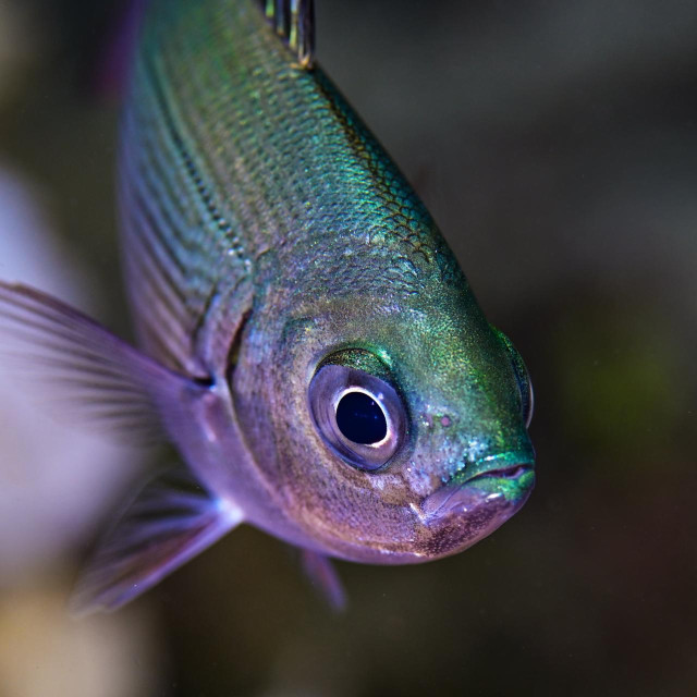 Ilustrativna fotografija