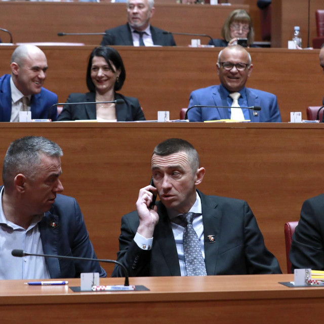 Zastupnici Domovinskog pokreta