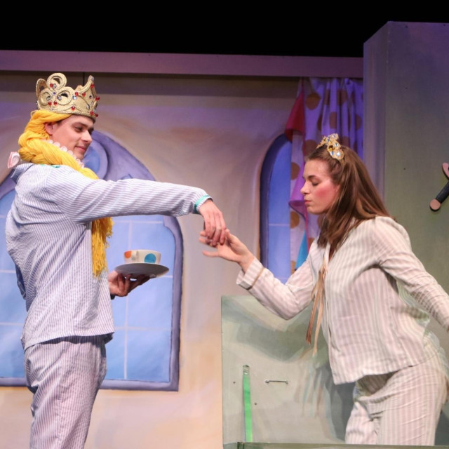 Princeza na zrnu graska