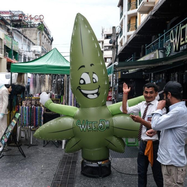 kanabis marihuana tajland