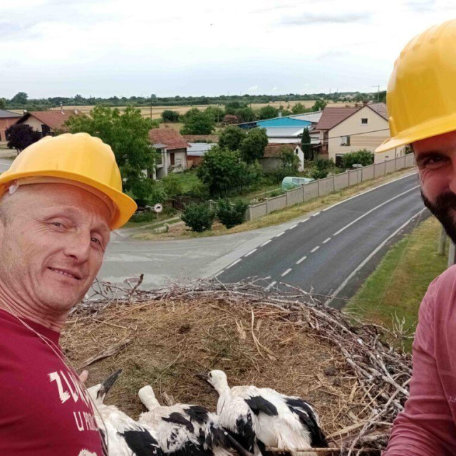 Prstenovanje su odradili Antonio Krušelj i Boris Božić
 