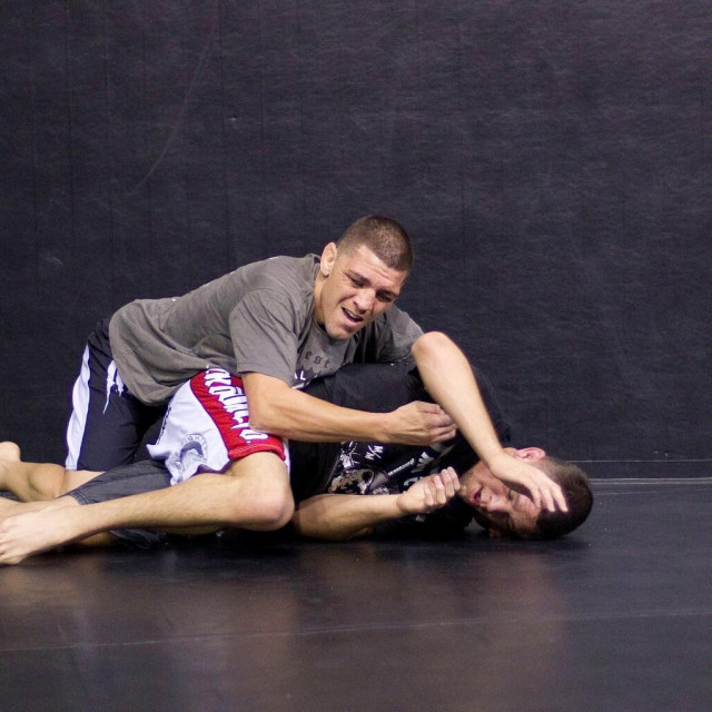 Nate Diaz i Nick Diaz