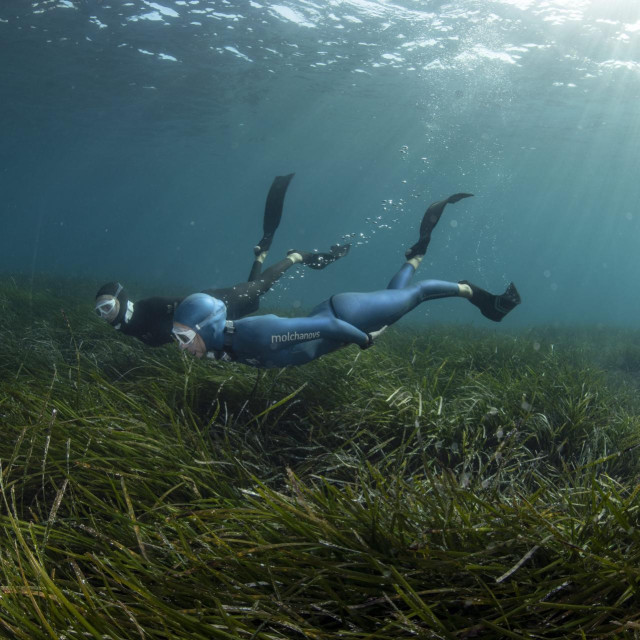 Ilustrativna fotografija