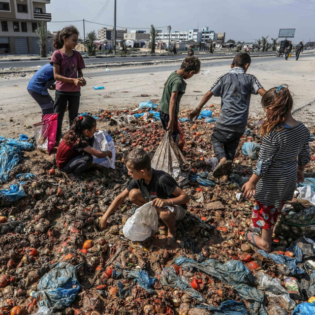 Glad u Gazi, ilustracija