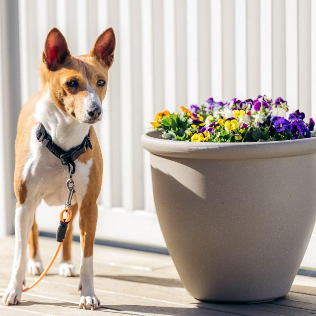 Ilustrativna fotografija