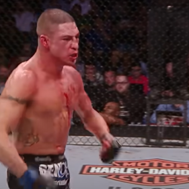 Diego Sanchez vs. Gilbert Melendez