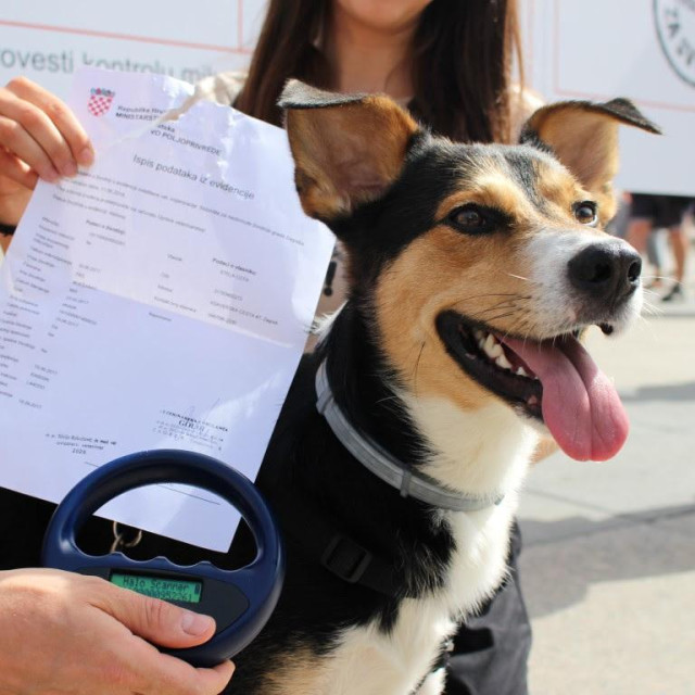 Ilustrativna fotografija