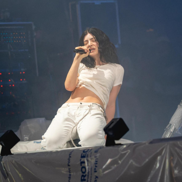 Lorde slika
