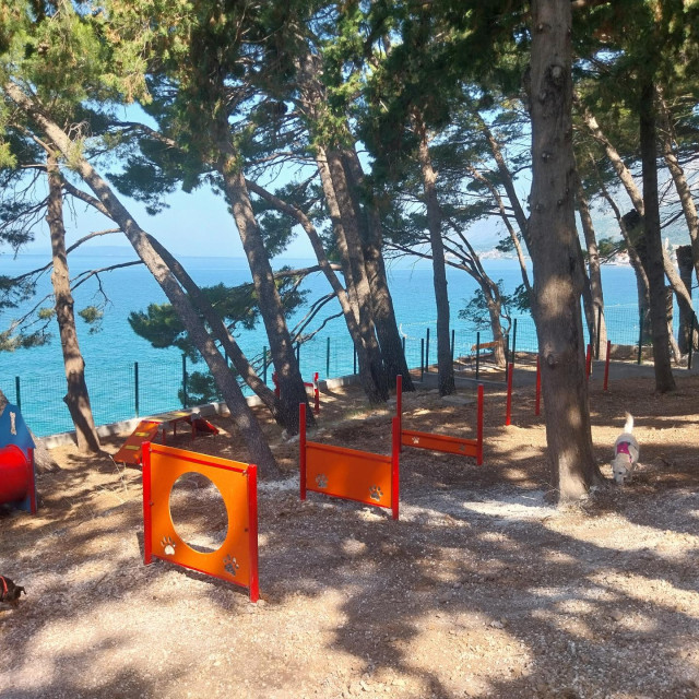37105553