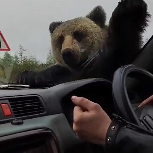 Ilustrativna fotografija