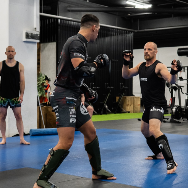 Đani Barbir i Gunnar Nelson