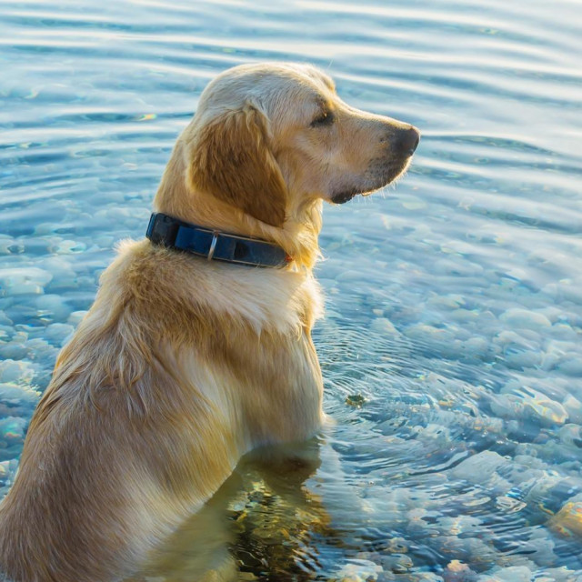 Ilustrativna fotografija