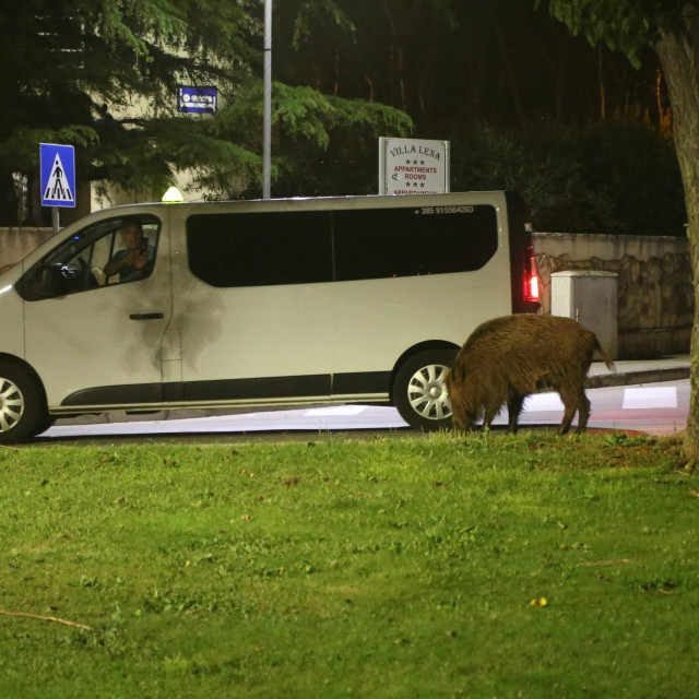 Ilustrativna fotografija