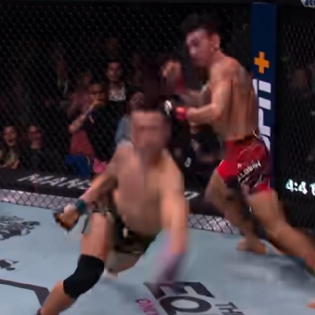 Max Holloway vs. Korean Zombie