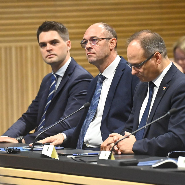 Karlo Ressler, Davor Ivo Stier, Zvonimir Frka Petešić