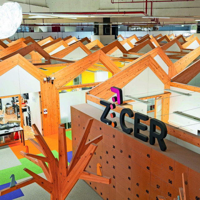 Zicer