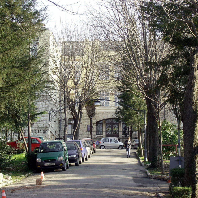 Medicinski fakultet u Rijeci