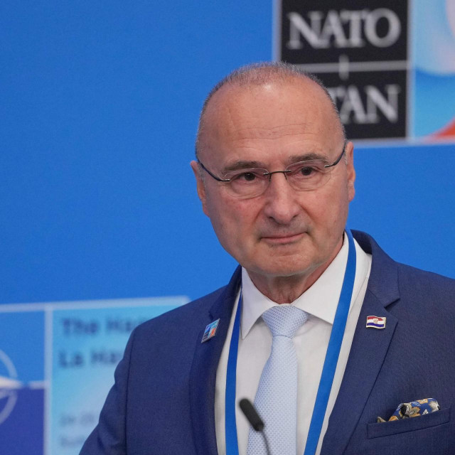 Gordan Grlić Radman