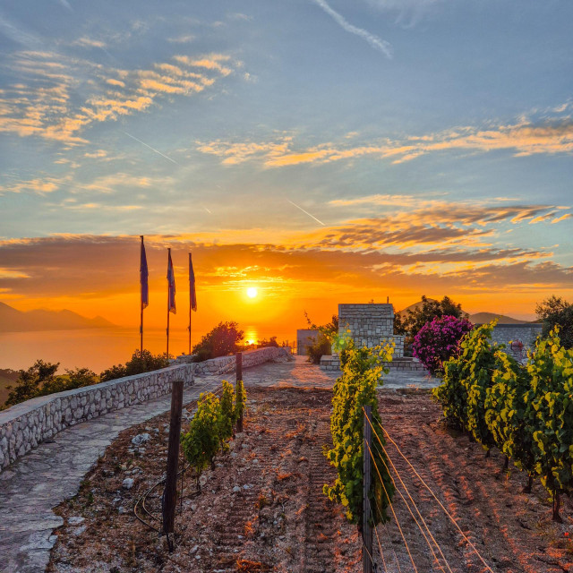 Obitelj Štimac je prije gotovo dvadeset godina zakupila od države zemljište na pedeset godina i krenula u melioraciju krša, u kojem su gotovo na kamenu posadili vinovu lozu