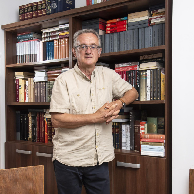 Čedomir Višnjić, povjesničar, političar i pisac