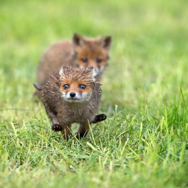 Ilustrativna fotografija