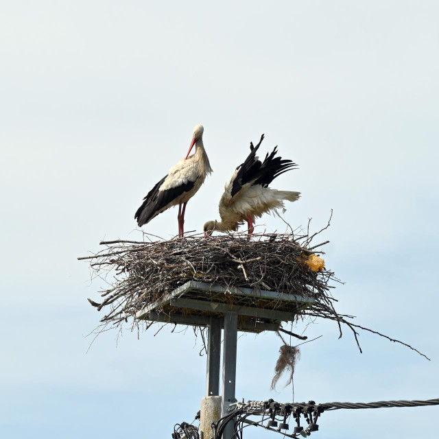 Ilustrativna fotografija