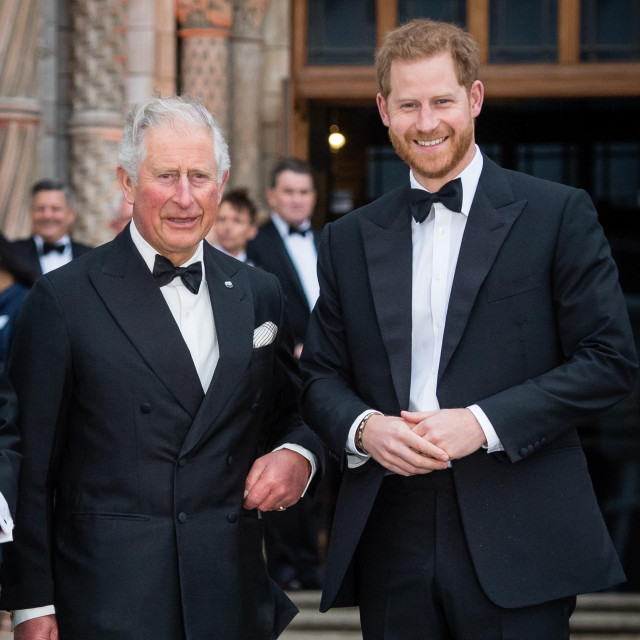 LONDON, ENGLAND - APRIL 04: Prince Charles, Prince of Wales and Prince Harry, Duke of Sussex attend the ”Our Planet” global premiere at Natural History Museum on April 04, 2019 in London, England. (Photo by Samir Hussein/Samir Hussein/WireImage)