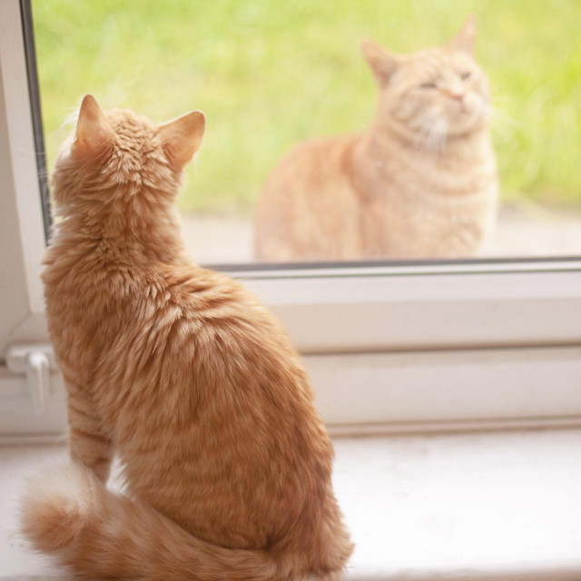 Ilustrativna fotografija