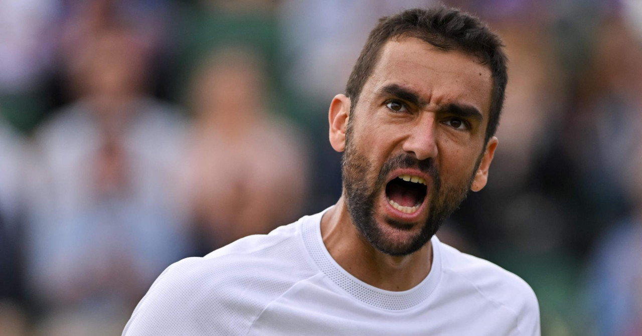 Sinner i dalje uvjerljivo vodeći, Čilić i Prižmić napredovali, Duje Ajduković pao za čak 90 mjesta