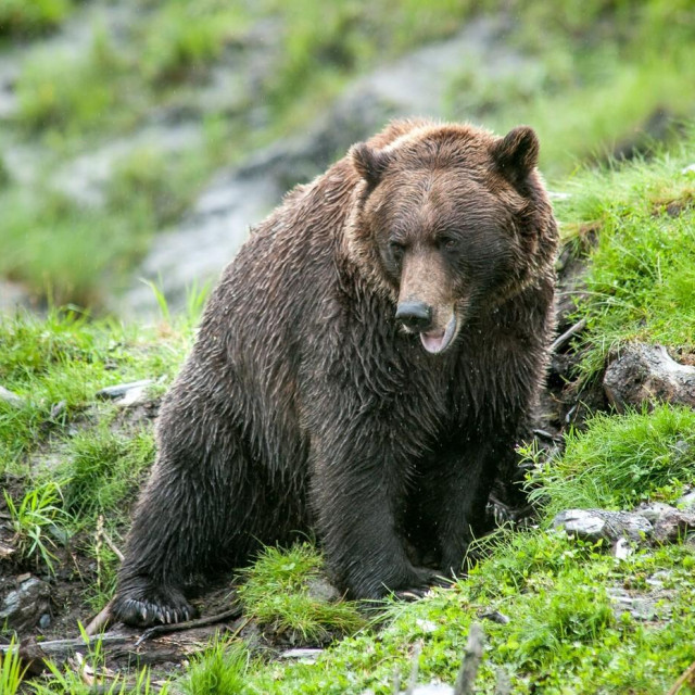 Ilustrativna fotografija