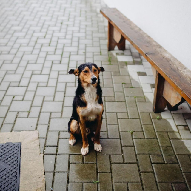 Ilustrativna fotografija