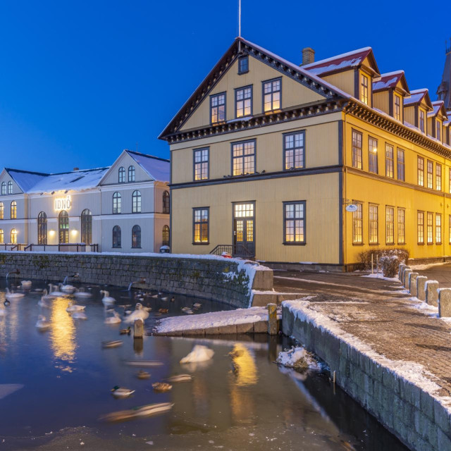 Rejkjavik