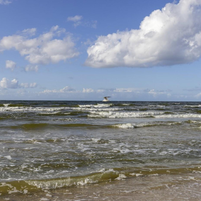 More kod otoka Wolina