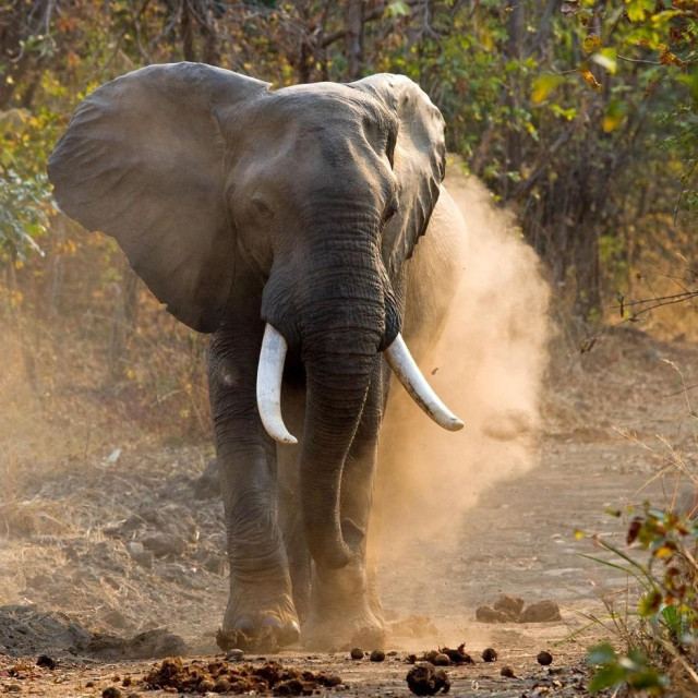 Ilustrativna fotografija