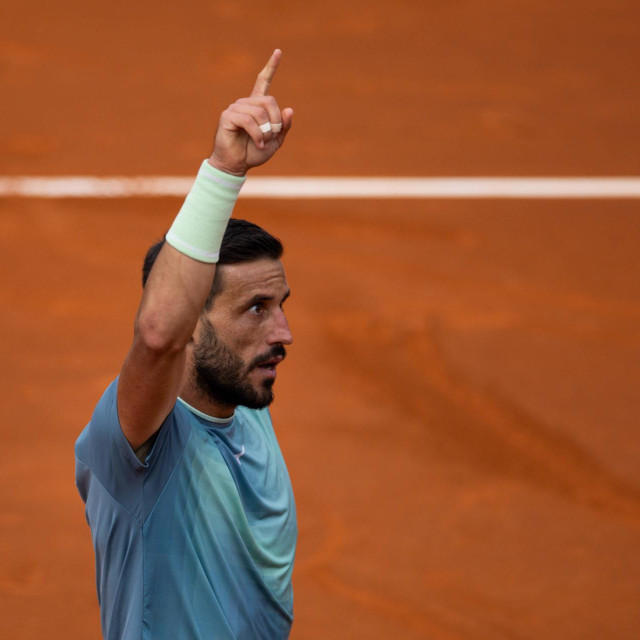 Damir Džumhur