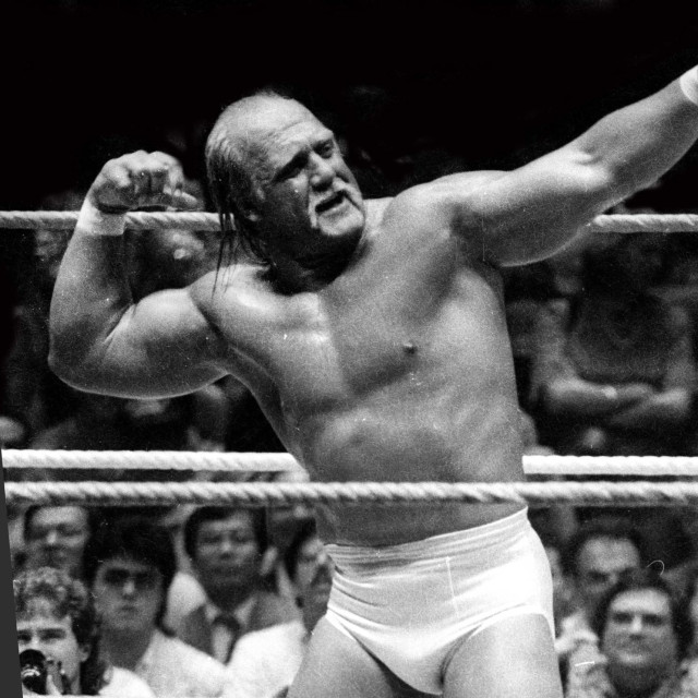 Hulk Hogan