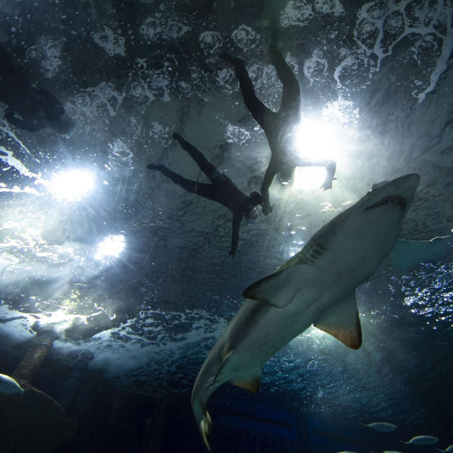 Ilustrativna fotografija